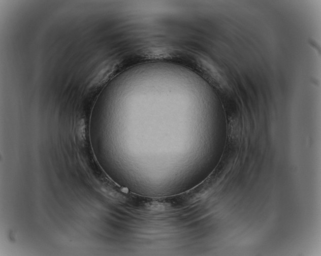 X0000097650549200803071511