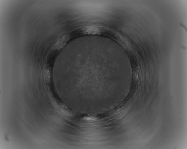 X0000097650551200803071512