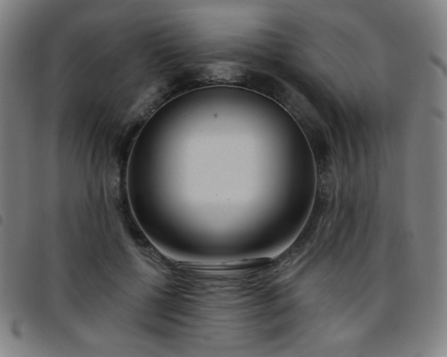 X0000097650552200803071512