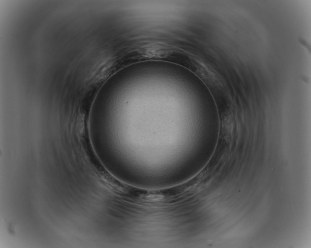 X0000097650554200803071512