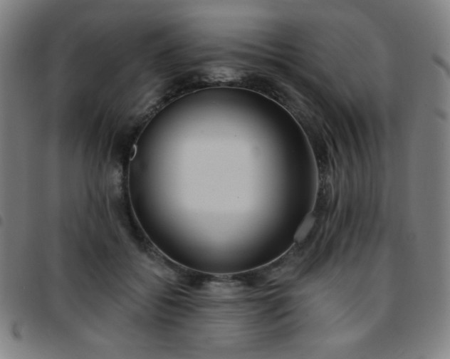 X0000097650556200803071512