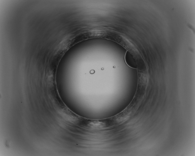 X0000097650557200803071512