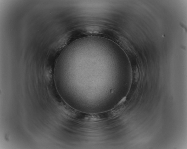 X0000097650559200803071512