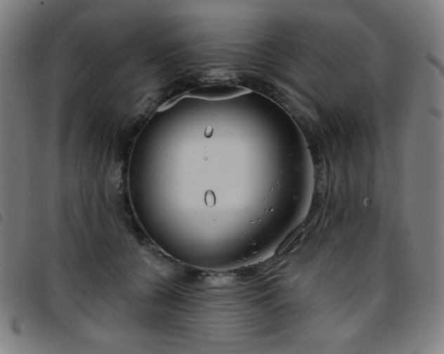 X0000097650560200803071512