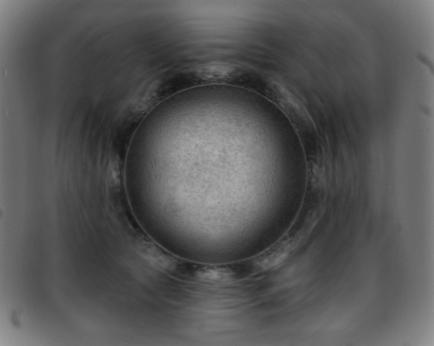 X0000097650561200803071512