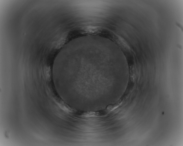 X0000097650563200803071512