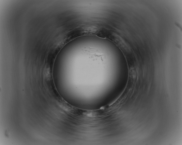 X0000097650564200803071512