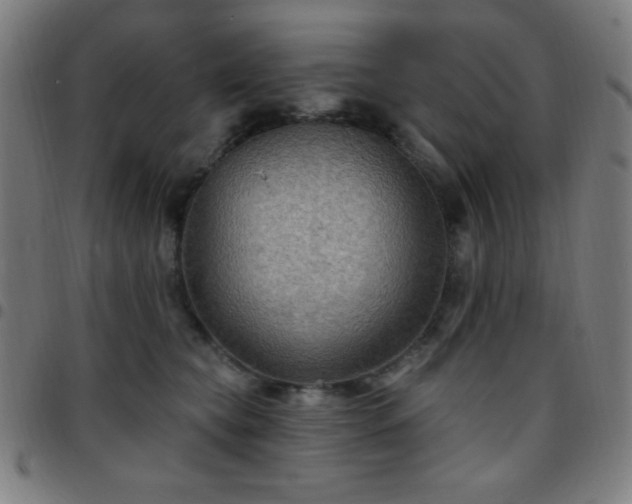 X0000097650565200803071512