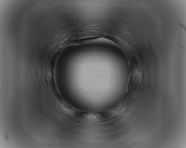 X0000097650566200803071512