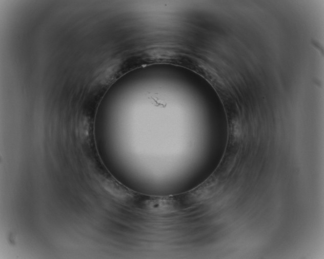 X0000097650567200803071512