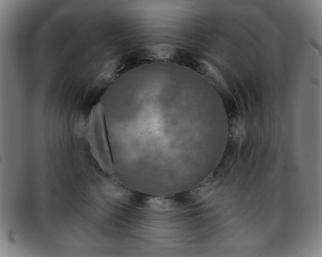 X0000097650568200803071512