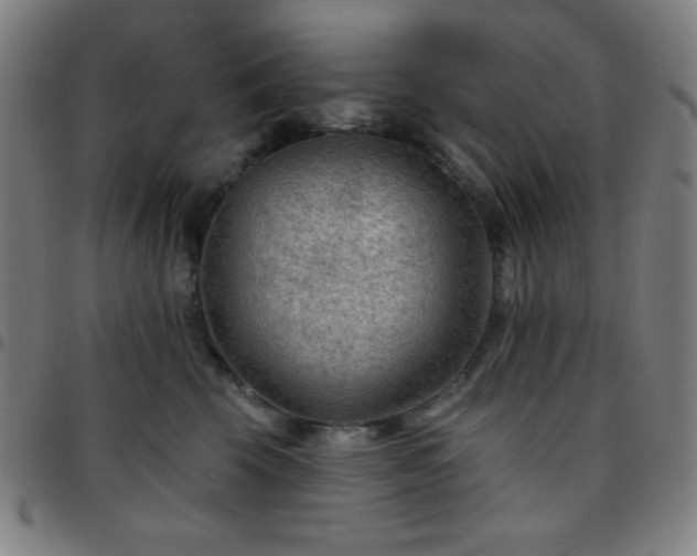 X0000097650569200803071512