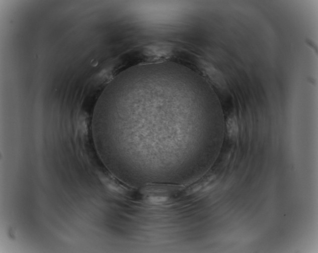 X0000097650570200803071512