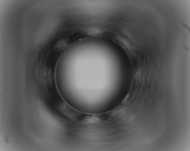 X0000097650572200803071512