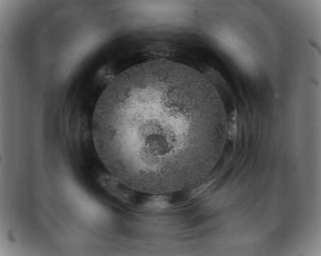 X0000097650573200803071512