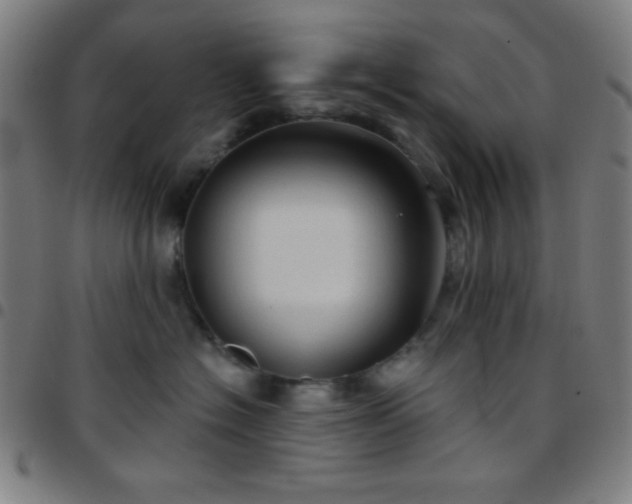 X0000097650574200803071512