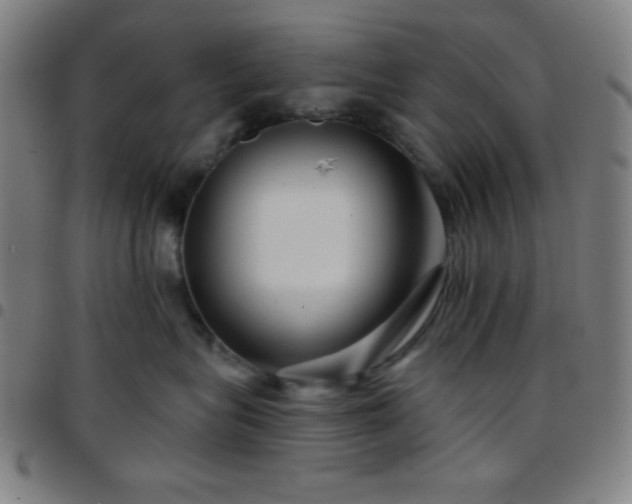 X0000097650575200803071512