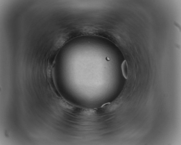 X0000097650576200803071512