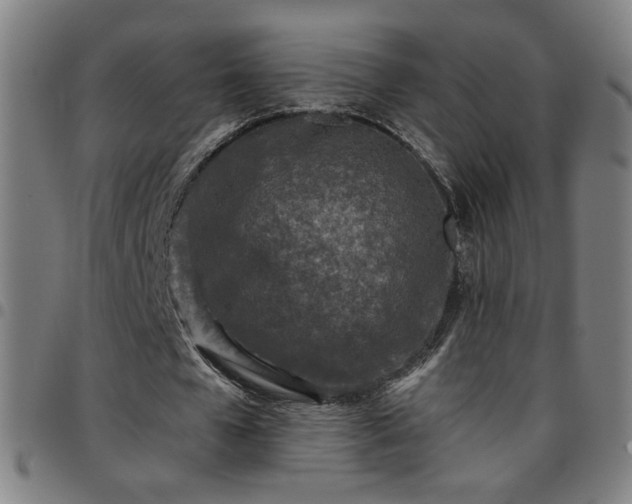 X0000097650577200803071511