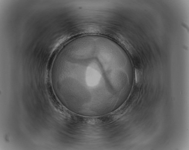 X0000097650579200803071511