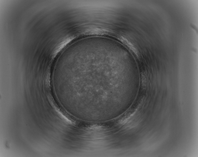 X0000097650581200803071511