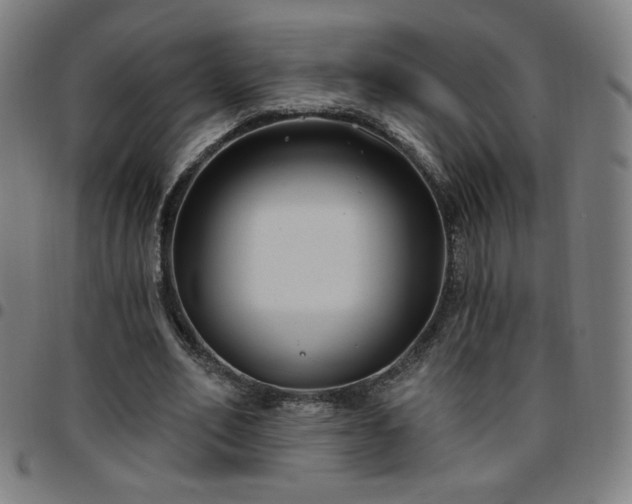 X0000097650582200803071511