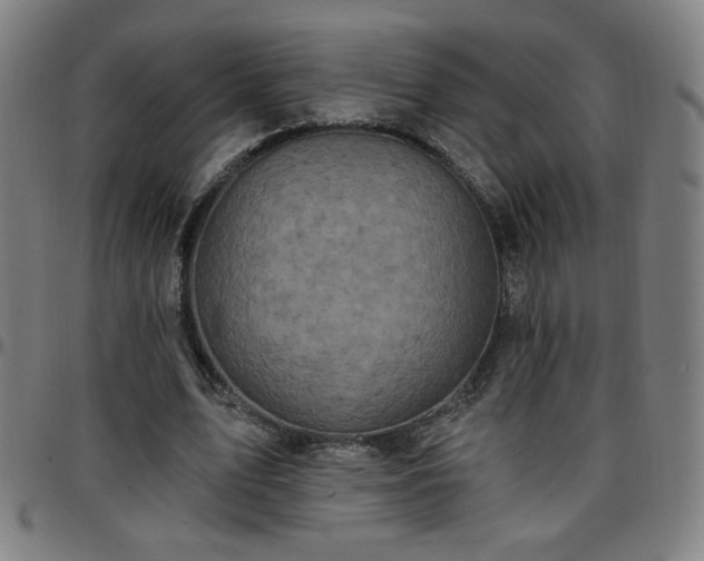 X0000097650583200803071511