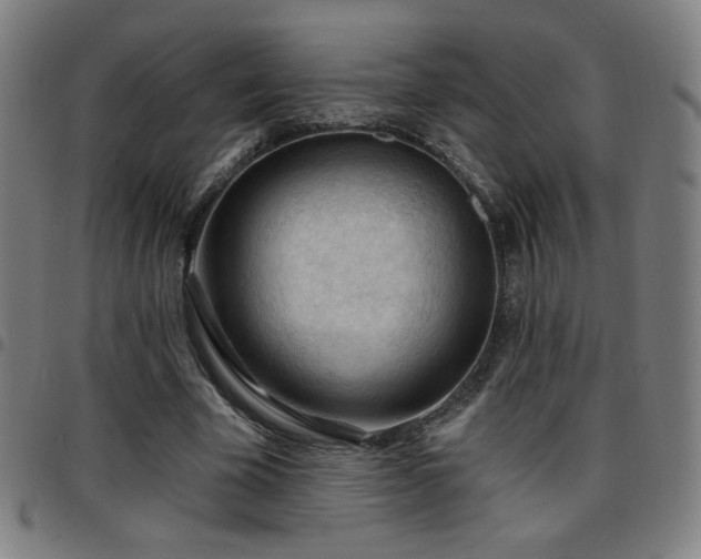 X0000097650585200803071511