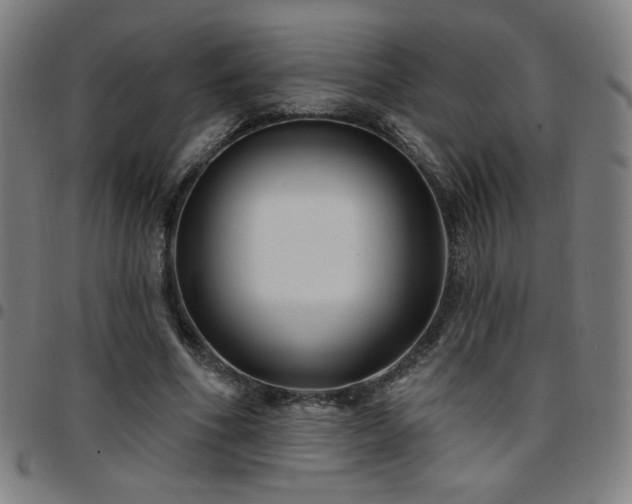 X0000097650586200803071511