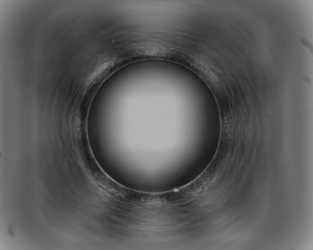 X0000097650587200803071511