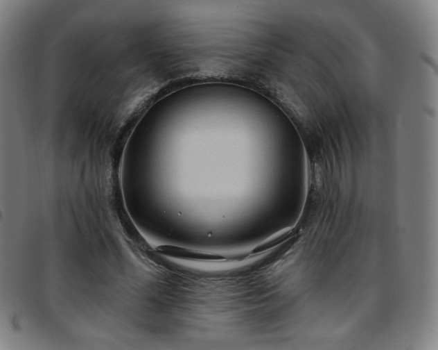 X0000097650588200803071511