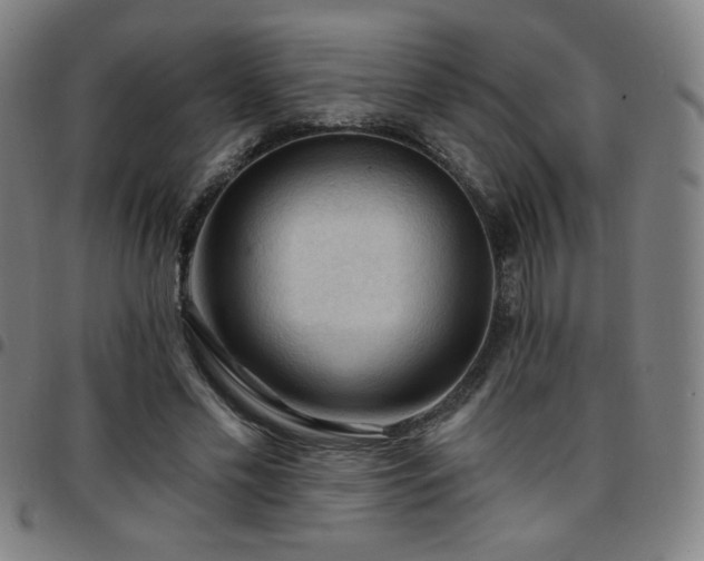 X0000097650589200803071511