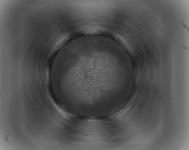 X0000097650590200803071511