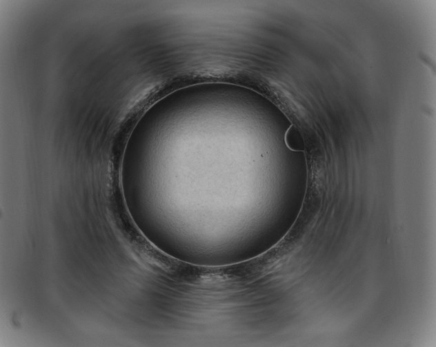 X0000097650591200803071511