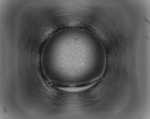 X0000097650592200803071511