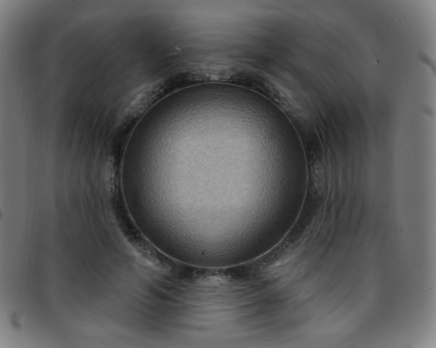 X0000097650594200803071511