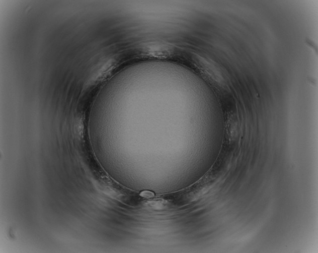 X0000097650595200803071511