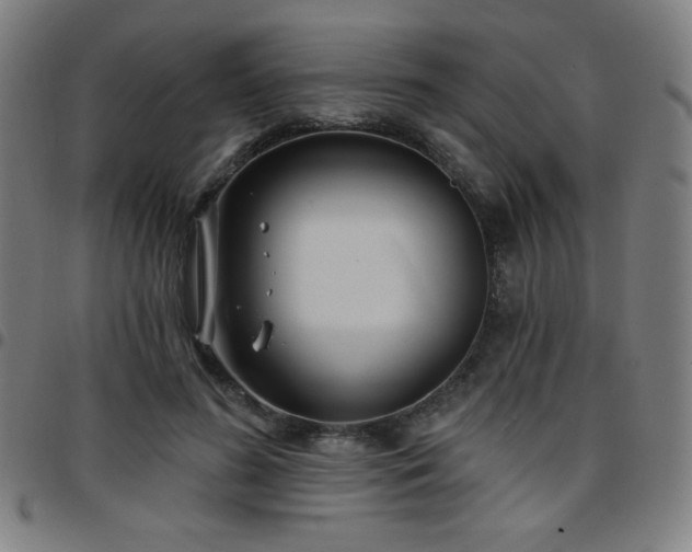 X0000097650596200803071511