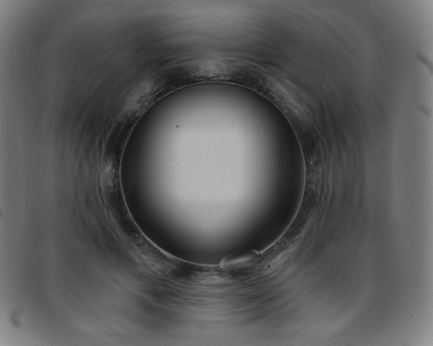 X0000097650597200803071511