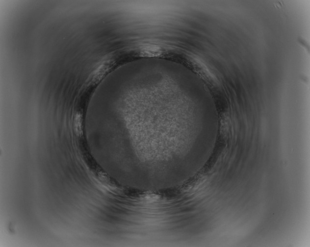 X0000097650598200803071511