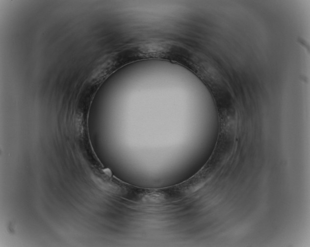 X0000097650599200803071511