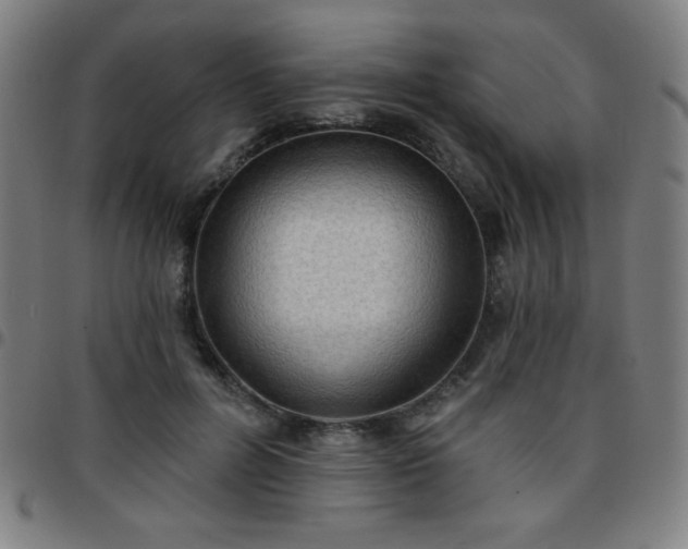 X0000097650600200803071511