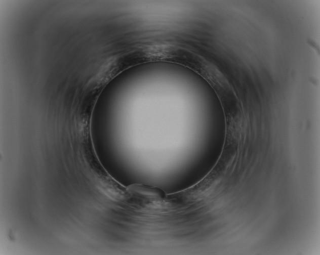 X0000097650601200803071511