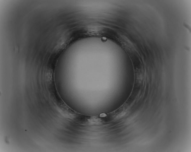 X0000097650603200803071511