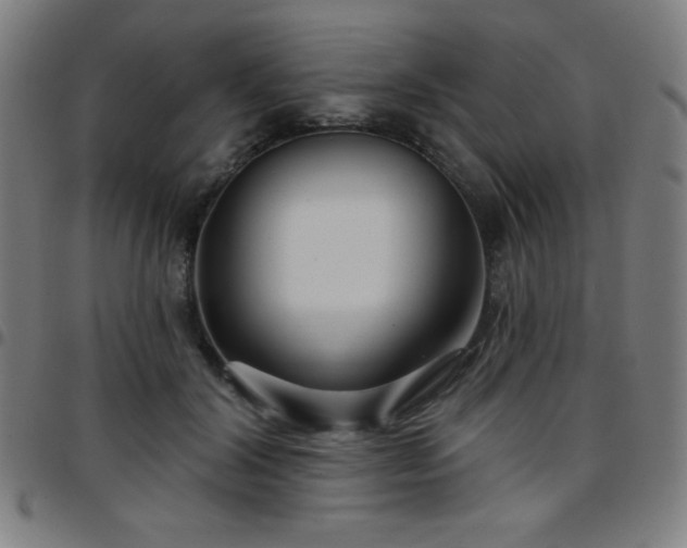 X0000097650604200803071511