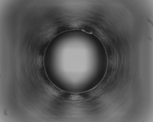 X0000097650605200803071511