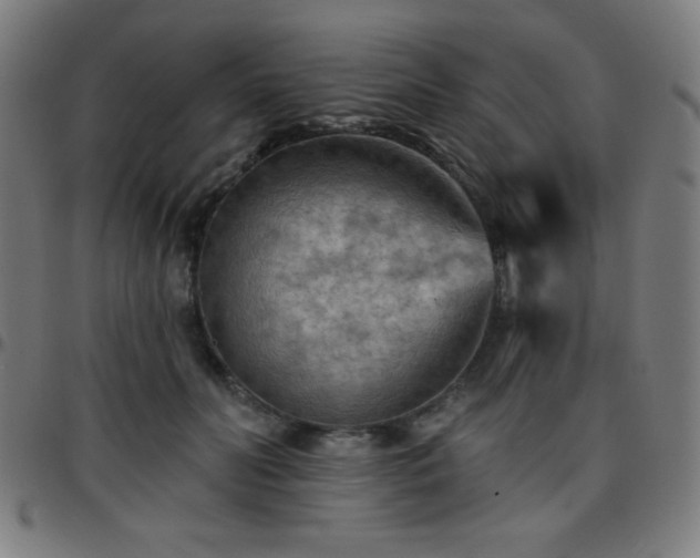 X0000097650606200803071511