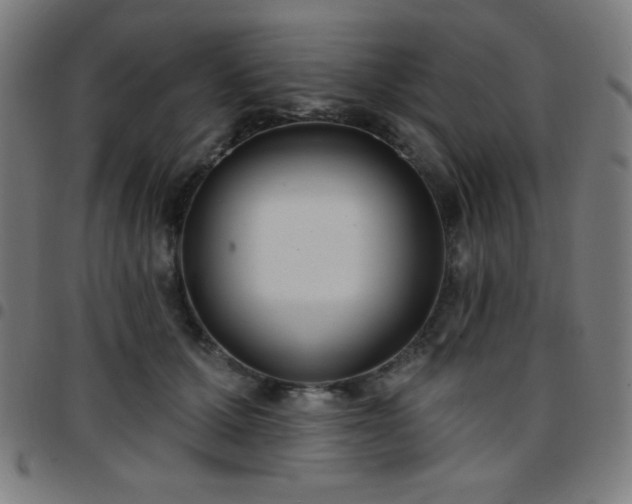 X0000097650607200803071511