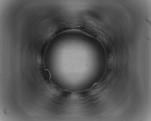 X0000097650608200803071511