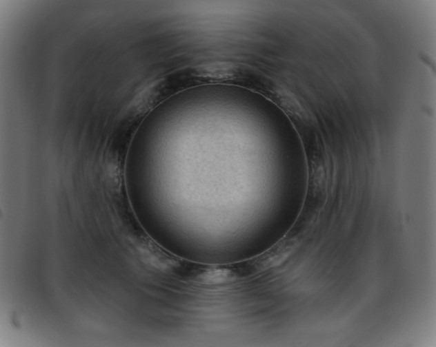 X0000097650609200803071511